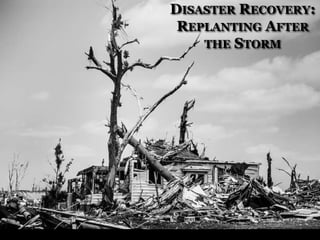 DISASTER RECOVERY:
REPLANTING AFTER
THE STORM

 
