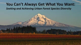 You Can’t Always Get What You Want:
Seeking and Achieving Urban Forest Species Diversity

 
