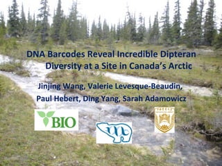 DNA Barcodes Reveal Incredible Dipteran Diversity at a Site in Canada’s Arctic Jinjing Wang, Valerie Levesque-Beaudin,  Paul Hebert, Ding Yang, Sarah Adamowicz 