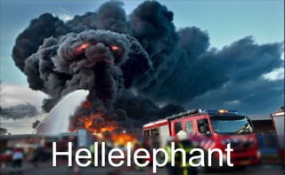 Hellelephant
 