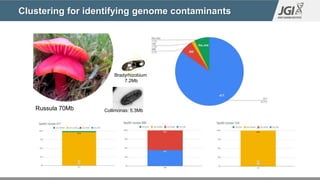 Clustering for identifying genome contaminants
Russula 70Mb
Bradyrhizobium
7.2Mb
Collimonas: 5.3Mb
 
