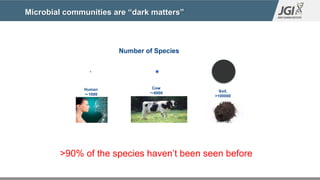 Microbial communities are “dark matters”
Number of Species
Cow
～6000
Human
～1000
Soil,
>100000
>90% of the species haven’t...
