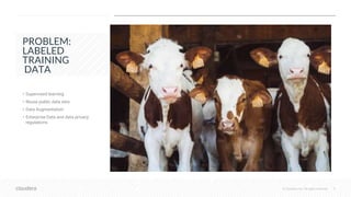 © Cloudera, Inc. All rights reserved. 9
PROBLEM:
LABELED
TRAINING
DATA
• Supervised learning
• Reuse public data sets
• Data Augmentation
• Enterprise Data and data privacy
regulations
 