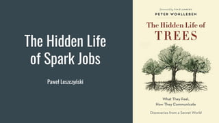 The Hidden Life
of Spark Jobs
Paweł Leszczyński
 