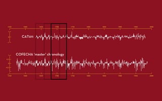 Building tree-ring chronologies and Program ARSTAN | PDF