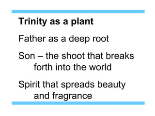 Trinity as a plant
Father as a deep root
Son – the shoot that breaks
   forth into the world
Spirit that spreads beauty
    and fragrance
 