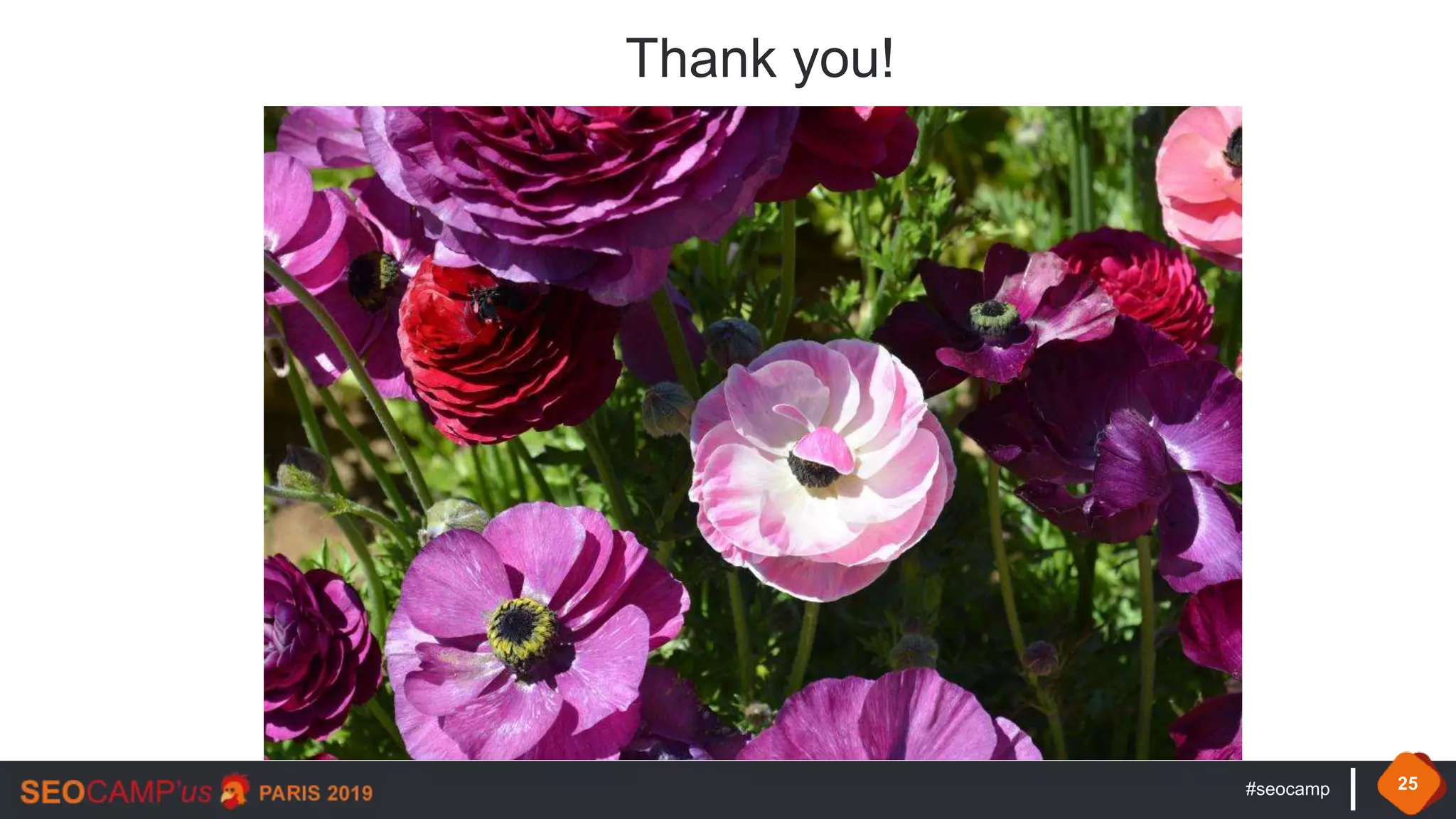 #seocamp 25
Thank you !
Thank you!
 