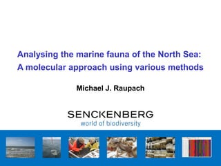 Analysing the marine fauna of the North Sea:
A molecular approach using various methods

              Michael J. Raupach
 