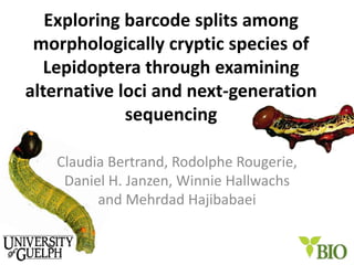 Exploring barcode splits among
 morphologically cryptic species of
  Lepidoptera through examining
alternative loci and next-generation
             sequencing

   Claudia Bertrand, Rodolphe Rougerie,
    Daniel H. Janzen, Winnie Hallwachs
         and Mehrdad Hajibabaei


                                          1
 