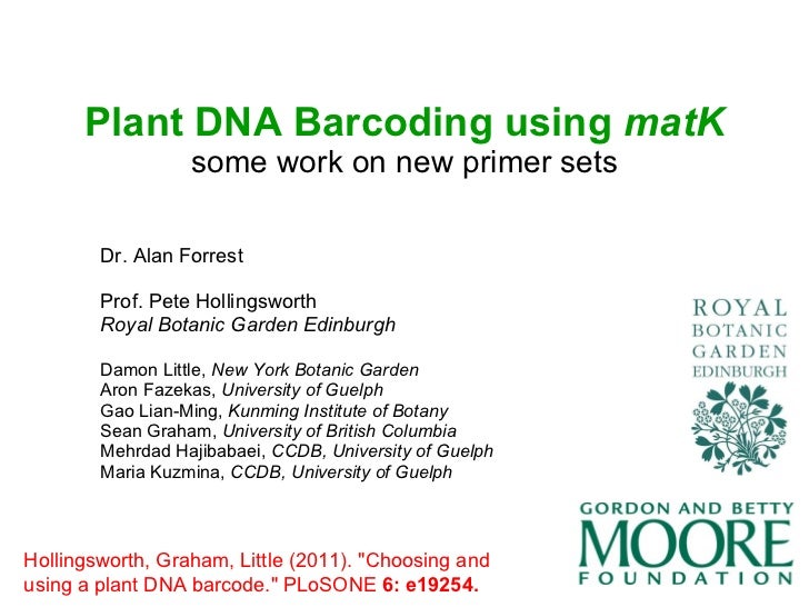 peter hollingsworth plants plenary