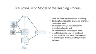 Neurolinguistic Model of the Reading Process
 there are three separate routes to reading:
 1 is the phonological (or grapheme-phoneme
conversion) route;
 2 is the semantic (or lexical-semantic-
phonological) route; and
 3 is the nonlexical phonological route.
 in surface dyslexia, only 1 is functional
 In deep dyslexia, only route 2 can operate;
 in phonological dyslexia, 3 is the principal
pathway;
 .
 
