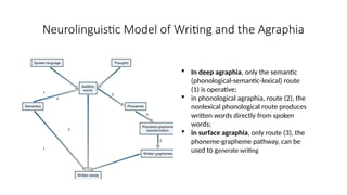 Neurolinguistic Model of Writing and the Agraphia
 In deep agraphia, only the semantic
(phonological-semantic-lexical) route
(1) is operative;
 in phonological agraphia, route (2), the
nonlexical phonological route produces
written words directly from spoken
words;
 in surface agraphia, only route (3), the
phoneme-grapheme pathway, can be
used to generate writing
 