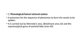 • 3. Phonological/lexical retrieval system
• It processes for the sequence of phonemes to form the words to be
spoken.
• It is carried out by Wernicke’s area, (Brodmann area 22) and the
supramarginal gyrus of parietal lobe (area 40)
 
