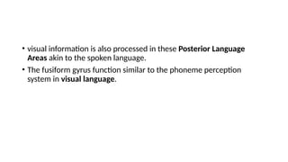 • visual information is also processed in these Posterior Language
Areas akin to the spoken language.
• The fusiform gyrus function similar to the phoneme perception
system in visual language.
 