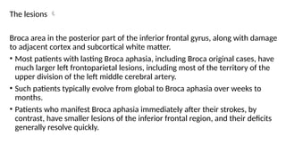 The lesions 
Broca area in the posterior part of the inferior frontal gyrus, along with damage
to adjacent cortex and subcortical white matter.
• Most patients with lasting Broca aphasia, including Broca original cases, have
much larger left frontoparietal lesions, including most of the territory of the
upper division of the left middle cerebral artery.
• Such patients typically evolve from global to Broca aphasia over weeks to
months.
• Patients who manifest Broca aphasia immediately after their strokes, by
contrast, have smaller lesions of the inferior frontal region, and their deficits
generally resolve quickly.
 