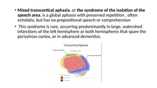 • Mixed transcortical aphasia, or the syndrome of the isolation of the
speech area, is a global aphasia with preserved repetition , often
echolalia, but has no propositional speech or comprehension
• This syndrome is rare, occurring predominantly in large, watershed
infarctions of the left hemisphere or both hemispheres that spare the
perisylvian cortex, or in advanced dementias.
 