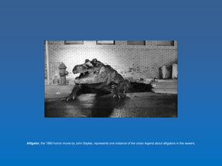 Alligator, the 1980 horror movie by John Sayles, represents one instance of the urban legend about alligators in the sewers. 
 