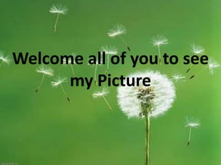 Welcome all of you to see
      my Picture
 