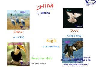 ( BIRDS)

Dove

Crane

(Chim bồ câu)

(Con Sếu)

Eagle
(Chim đại bàng)

Great hornbill
(chim tê điểu)

Dịch thuật công chứng VEDICO
Tham khảo thêm thuật ngữ ở đây
www. thegioidichthuat.com
----------------------

 