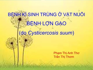 BỆNH KÍ SINH TRÙNG Ở VẬT NUÔI

BỆNH LỢN GẠO
(do Cysticercosis suum)

Phạm Thị Anh Thơ
Trần Thị Thơm

 