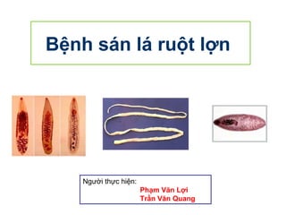 Bệnh sán lá ruột lợn

Người thực hiện:
Phạm Văn Lợi
Trần Văn Quang

 
