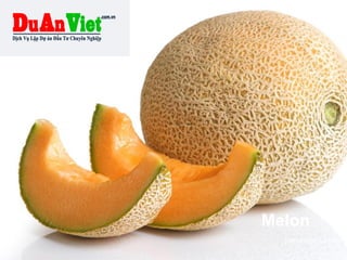 Melon
presented by Kuji
 