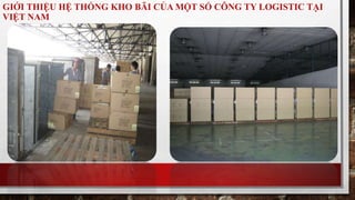 GIỚI THIỆU HỆ THỐNG KHO BÃI CỦA MỘT SỐ CÔNG TY LOGISTIC TẠI 
VIỆT NAM 
 