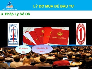 Sổ đỏ luôn
kìa
Sổ đỏ luôn
kìa
Hàng hiếm đó
nha ^^
Hàng hiếm đó
nha ^^
LÝ DO MUA ĐỂ ĐẦU TƯ
3. Pháp Lý Sổ Đỏ
 