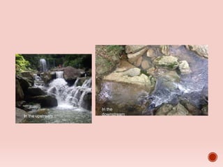 In the upstream
In the
downstream
 