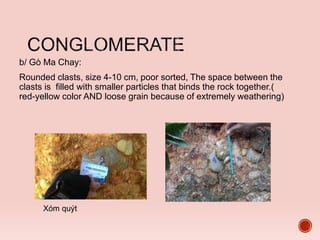 b/ Gò Ma Chay:
Rounded clasts, size 4-10 cm, poor sorted, The space between the
clasts is filled with smaller particles that binds the rock together.(
red-yellow color AND loose grain because of extremely weathering)
Xóm quýt
 