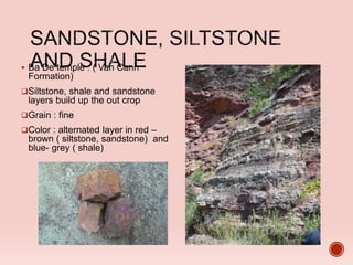  Ba De temple : ( Van Canh
Formation)
Siltstone, shale and sandstone
layers build up the out crop
Grain : fine
Color : alternated layer in red –
brown ( siltstone, sandstone) and
blue- grey ( shale)
 