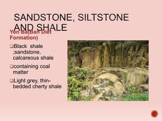 Yen Ba(Ban Diet
Formation)
Black shale
;sandstone,
calcareous shale
containing coal
matter
Light grey, thin-
bedded cherty shale
Quatzite
 