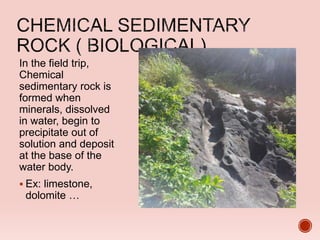 In the field trip,
Chemical
sedimentary rock is
formed when
minerals, dissolved
in water, begin to
precipitate out of
solution and deposit
at the base of the
water body.
 Ex: limestone,
dolomite …
 