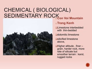oCon Voi Mountain
oTrang Kenh
Limestone interbedded
with thin-bedded
dolomitic limestone
silicified limestone
above,
Higher altitude , finer –
grain, harder rock, more
rate of silicate but
smoother terrain : karst,
rugged rocks
 