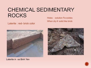 Laterite : red- brick color
Holes : solution Fe-oxides
When dry solid like brick
Laterite in xa Binh Yen
 