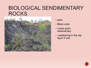  peat
 Black color
 Loose grain
sedimentary
 weathering in the top
layer soil
 