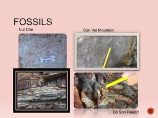 Con Voi MountainNui Che
Do Son Resort
 