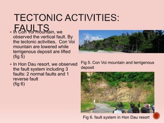  In Con Voi mountain, we
observed the vertical fault. By
the tectonic activities, Con Voi
mountain are lowered while
terrigenous deposit are lifted
(fig 5)
 In Hon Dau resort, we observed
the fault system including 3
faults: 2 normal faults and 1
reverse fault
(fig 6)
Fig 6. fault system in Hon Dau resort
Fig 5. Con Voi mountain and terrigenous
deposit
 