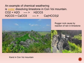 An example of chemical weathering
is water dissolving limestone in Con Voi mountain.
CO2 + H2O ---- > H2CO3
H2CO3 + CaCO3 ---- > Ca(HCO3)2
Karst in Con Voi mountain
Rugger rock cause by
reaction of rain in limestone
 