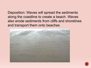 Deposition: Waves will spread the sediments
along the coastline to create a beach. Waves
also erode sediments from cliffs and shorelines
and transport them onto beaches
 