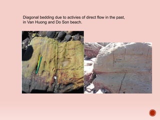 Diagonal bedding due to activies of direct flow in the past,
in Van Huong and Do Son beach.
 
