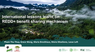 GL
Pham Thu Thuy, Grace Wong, Maria Brockhaus, Moira Moeliono, Lasse Loft
GL
International lessons learnt on
REDD+ benefit sharing mechanism
 