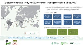Global comparative study on REDD+ benefit sharing mechanism since 2009
Series of info briefs downloadable from: cifor.org/...