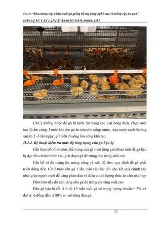 Dự án “Khu trang trại chăn nuôi gà giống bố mẹ công nghệ cao và trồng cây ăn quả”
ĐƠN VỊ TƯ VẤN LẬP DỰ ÁN 0918755356-0903034381
Chú ý không được để gà bị lạnh. Sử dụng các loại bóng điện, chụp sưởi
tạo độ ấm cúng. Trước khi cho gà ăn nên cho uống trước, thay nước sạch thường
xuyên 2 -3 lần/ngày, giữ nền chuồng ấm cũng khô ráo.
II.2.4. Kỹ thuật kiểm tra mức độ tăng trọng của gà hậu bị
Cần theo dõi định mức thể trọng của gà theo từng giai đoạn tuổi để gà hậu
bị đạt tiêu chuẩn bước vào giai đoạn gà đẻ trứng cho năng suất cao.
Cần bố trí đủ máng ăn, máng uống và mật độ theo quy định để gà phát
triển đồng đều. Cứ 2 tuần cân gà 1 lần, cân vào lúc đói cho kết quả chính xác
nhất giúp người nuôi dễ dàng phân đàn và điều chỉnh lượng thức ăn cho phù hợp
Đảm bảo đầy đủ ánh sáng cho gà đẻ trứng có năng suất cao
Đàn gà hậu bị tốt là ở độ 19 tuần tuổi gà có trọng lượng chuẩn = 5% và
đạt tỷ lệ đồng đều là 80% so với tông đàn gà.
32
 