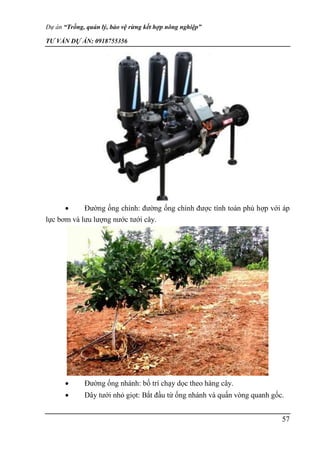 Thuyết minh dự án trồng rừng, bảo vệ , quản lý kết hợp nông nghiệp 0918755356