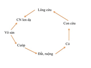 Vô sản
CN len dạ
Lông cừu
Con cừu
Cỏ
Đất, ruộng
Cướp
 