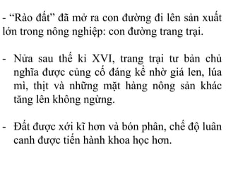 - “Rào đất” đã mở ra con đường đi lên sản xuất
lớn trong nông nghiệp: con đường trang trại.
- Nửa sau thế kỉ XVI, trang trại tư bản chủ
nghĩa được củng cố đáng kể nhờ giá len, lúa
mì, thịt và những mặt hàng nông sản khác
tăng lên không ngừng.
- Đất được xới kĩ hơn và bón phân, chế độ luân
canh được tiến hành khoa học hơn.
 
