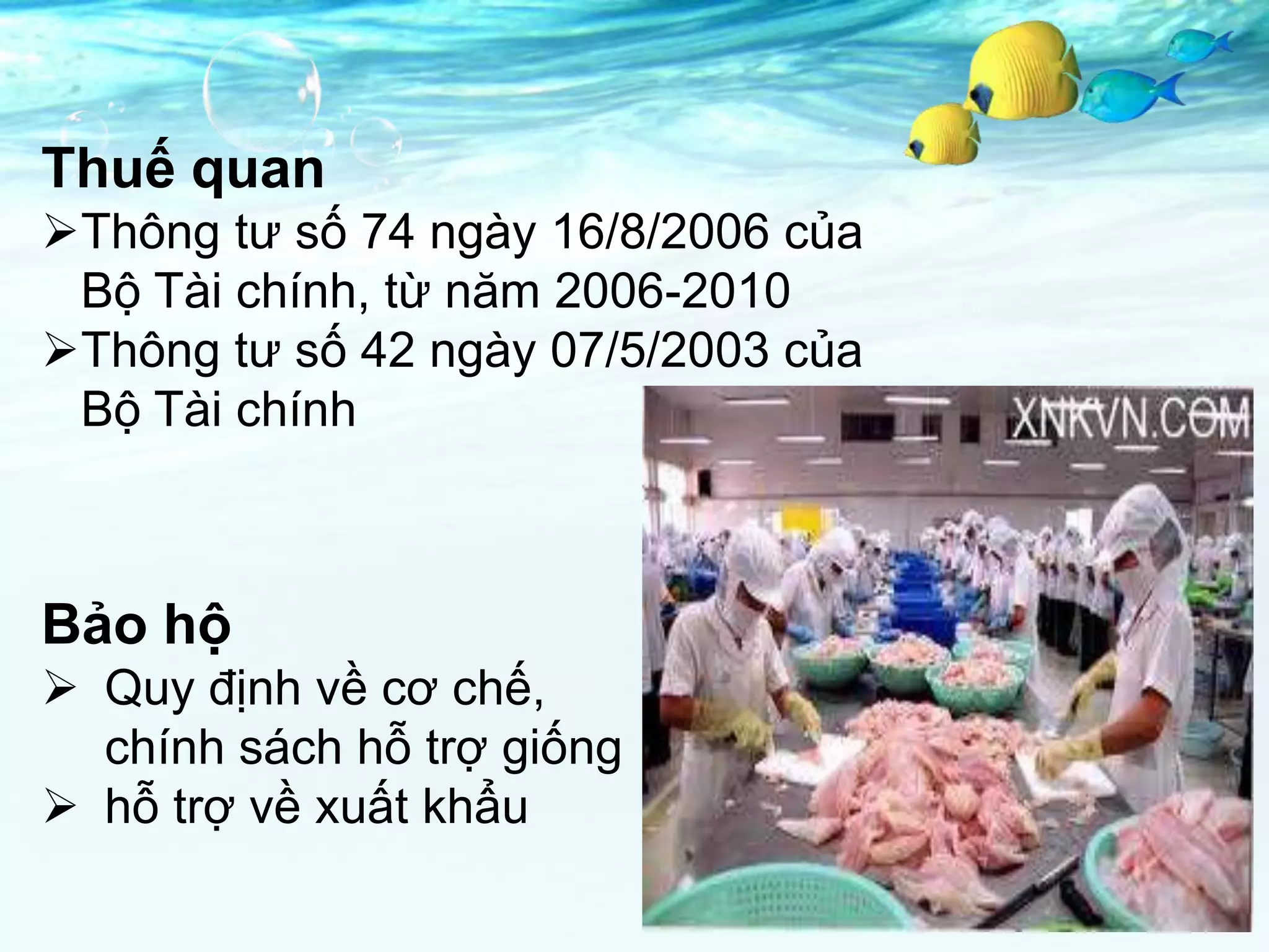 Thuế quan
Thông tư số 74 ngày 16/8/2006 của
 Bộ Tài chính, từ năm 2006-2010
Thông tư số 42 ngày 07/5/2003 của
 Bộ Tài chính



Bảo hộ
 Quy định về cơ chế,
  chính sách hỗ trợ giống
 hỗ trợ về xuất khẩu
 