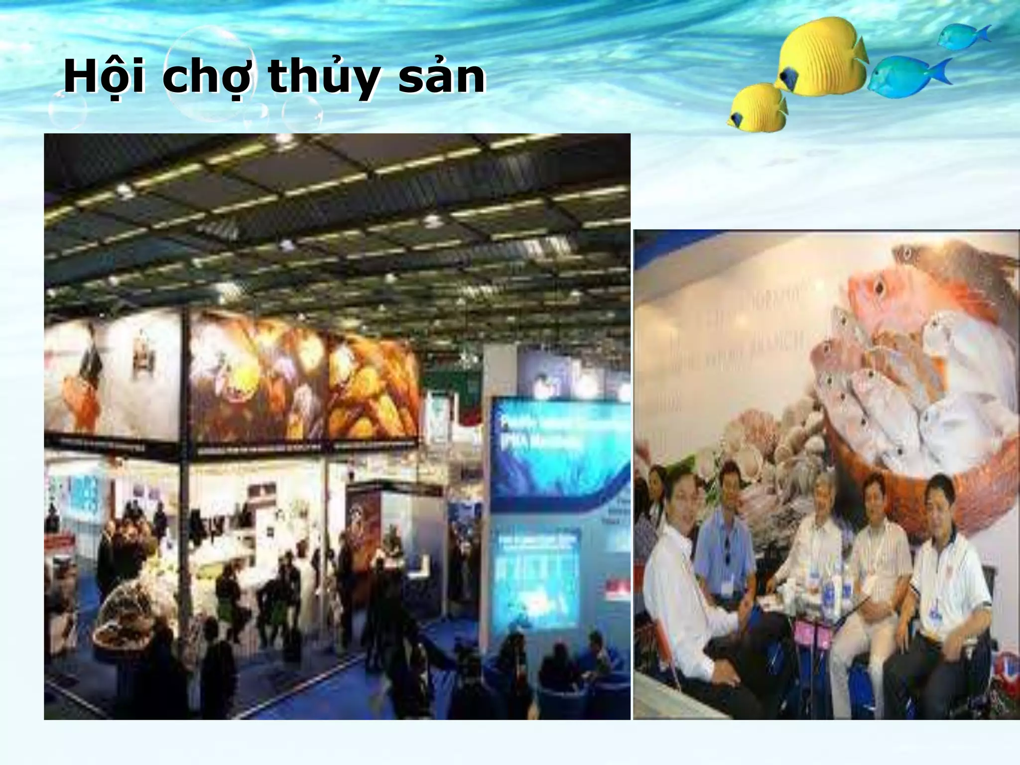 Hội chợ thủy sản
 