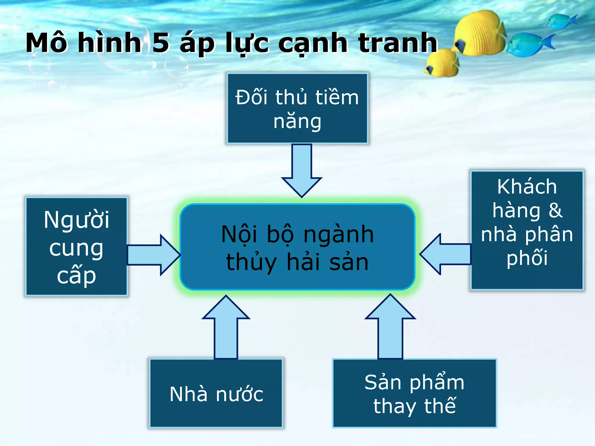 Mô hình 5 áp lực cạnh tranh
              Đối thủ tiềm
                  năng


                                          Khách
                                          hàng &
 Người
             Nội bộ ngành                nhà phân
 cung                                      phối
             thủy hải sản
  cấp



                             Sản phẩm
         Nhà nước
                              thay thế
 